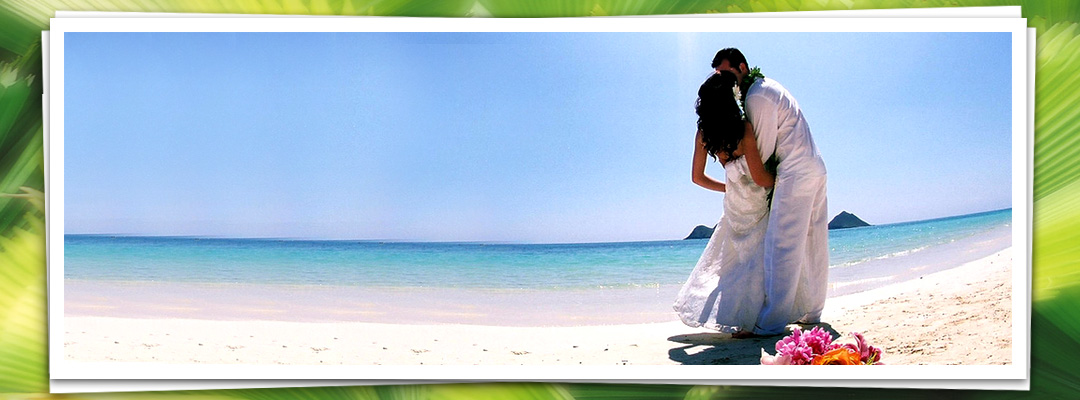 Destination Wedding Specialist | Honeymoon Specialist | Travel Agency